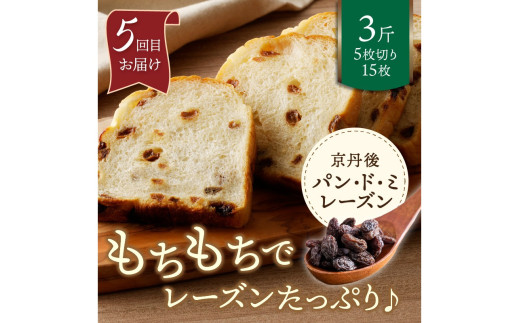 京都 丹後のおまかせ　お楽しみパン５カ月定期便　【訳あり】　BT00022