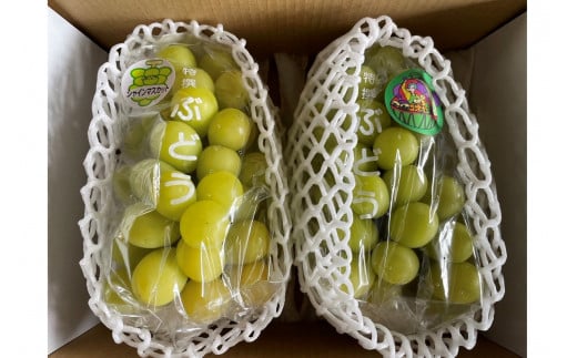 【先行予約／数量限定50】シャインマスカット 700g以上（1房入り）（2026年9月上旬～発送）　FK00016