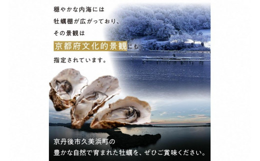 京都・久美浜産　殻付き牡蠣　4kg（40個前後）【加熱用】牡蠣ナイフ付　MN00066