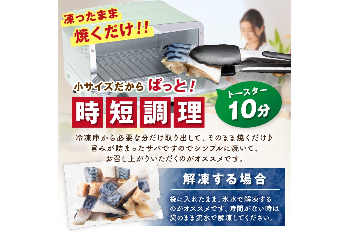 定期便2回【訳あり】魚屋の味付け骨取り塩サバ3パック（42切れ×2回※隔月） フィレ 切り身 骨抜き 冷凍 鯖 骨なし ふるさと納税 鯖 骨取り ふるさと納税 鯖 訳あり　TB00051