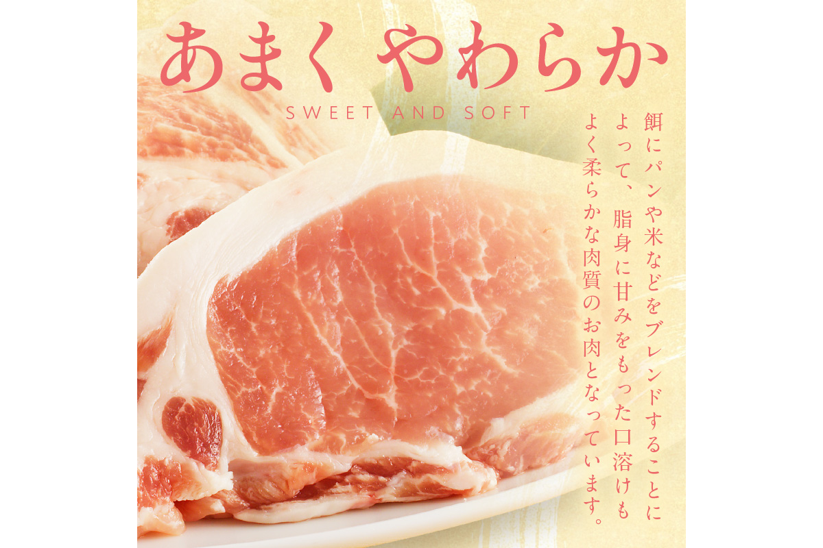 【隔月×3ヶ月定期便】トン´sキッチン 京丹波高原豚串カツ　20本　TN00017