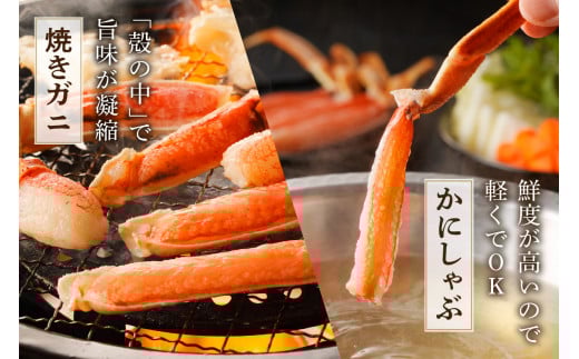 鮮度抜群！お刺身でも食べられる！カット生ズワイガニ 2肩分　YK00416