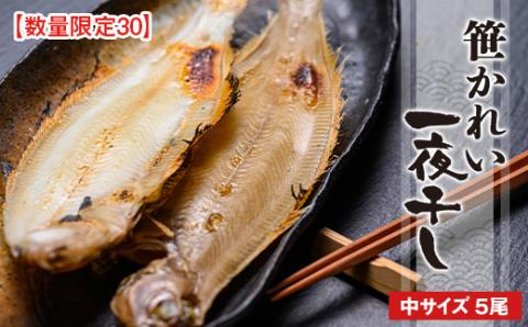 【海鮮の匠　魚政】笹かれい一夜干し（ササカレイ、ヤナギムシカレイ）中サイズ 5尾セット　UO00064