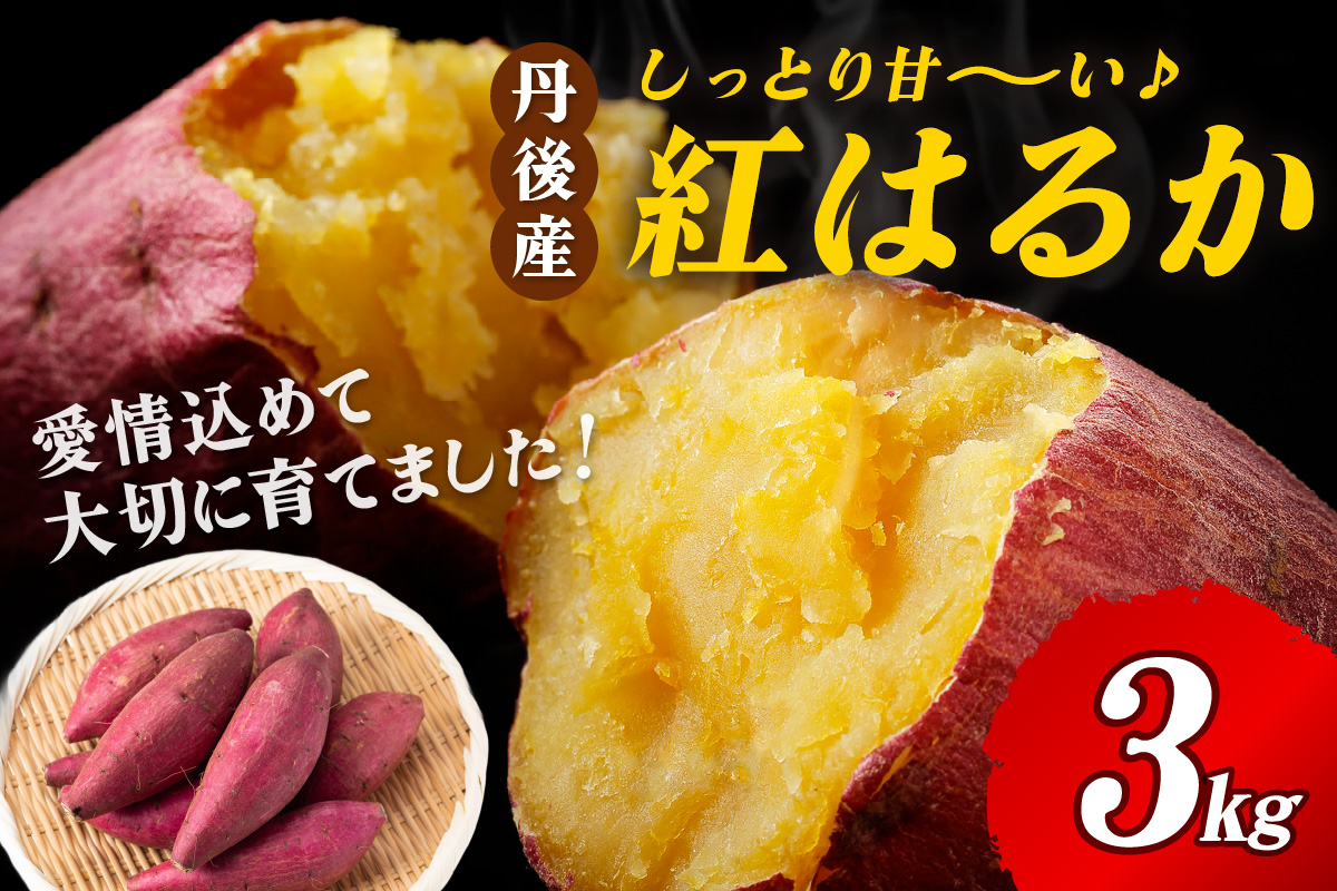 【先行予約】丹後産　さつまいも　紅はるか3kg　2026年3月下旬～配送　AM00666_04
