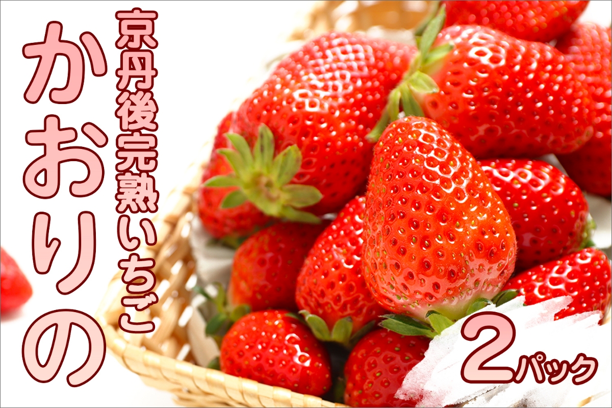 【先行予約／数量限定】京都丹後産 完熟いちご（かおりの） 2パック（2026年3月中旬～発送）　AM00667