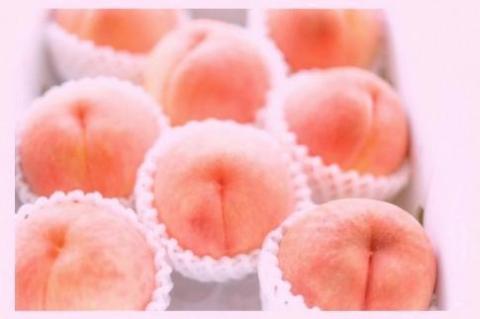 【先行予約／数量限定】京都丹後産 桃 約2kg（6～8玉）（2026年7月中旬～発送）歯ごたえのある かための桃 ふるさと 納税 桃 2kg ふるさと 納税 もも モモ  　AM00712