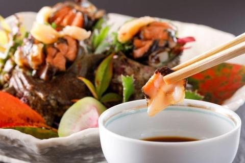 お刺身専用！日本海荒波育ち京丹後産お刺身さざえ8個入　HK00269