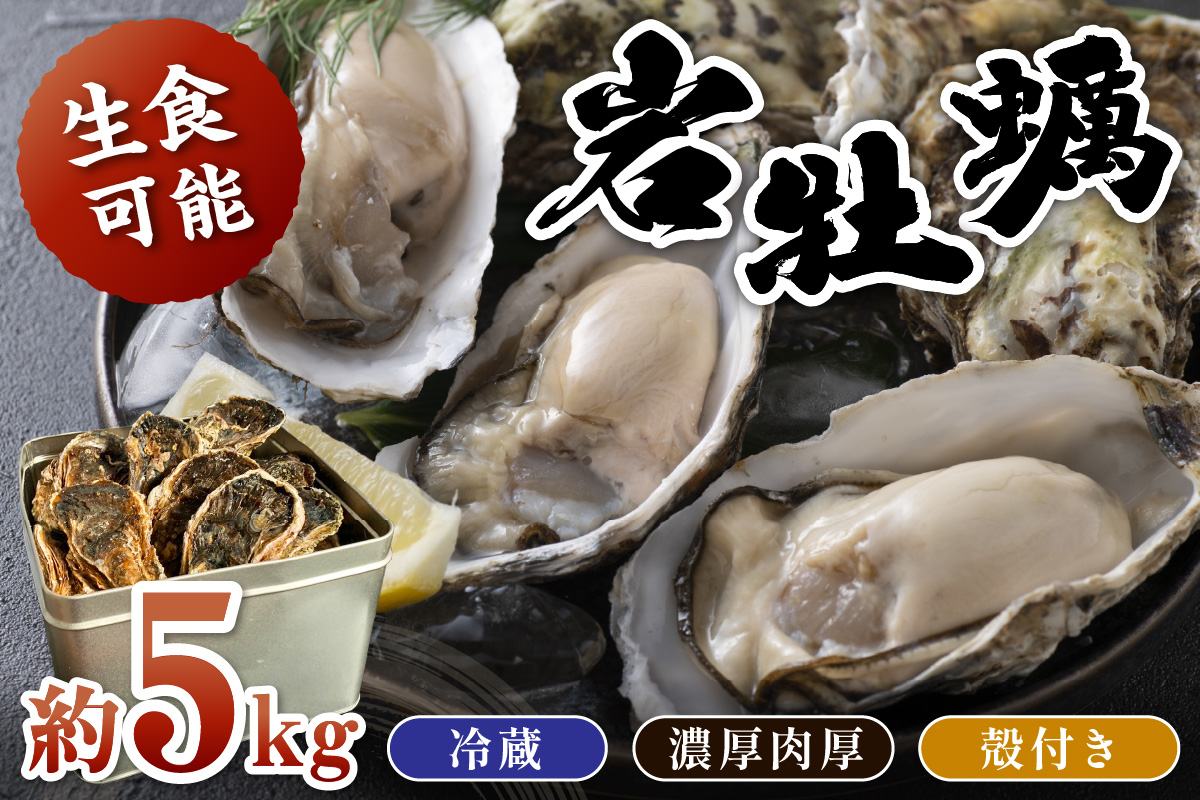 【先行予約】京都・京丹後産　鮮度抜群！濃厚肉厚岩牡蠣（生食用）約5kg（約10個）（殻付き・かんかん入り・冷蔵・ナイフ付き）　AH00018