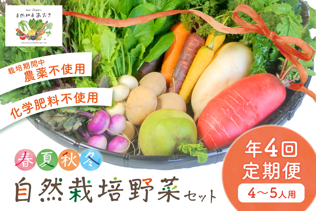 【年4回定期便】春夏秋冬自然栽培野菜セット(年4回)4～5人用　AB00002