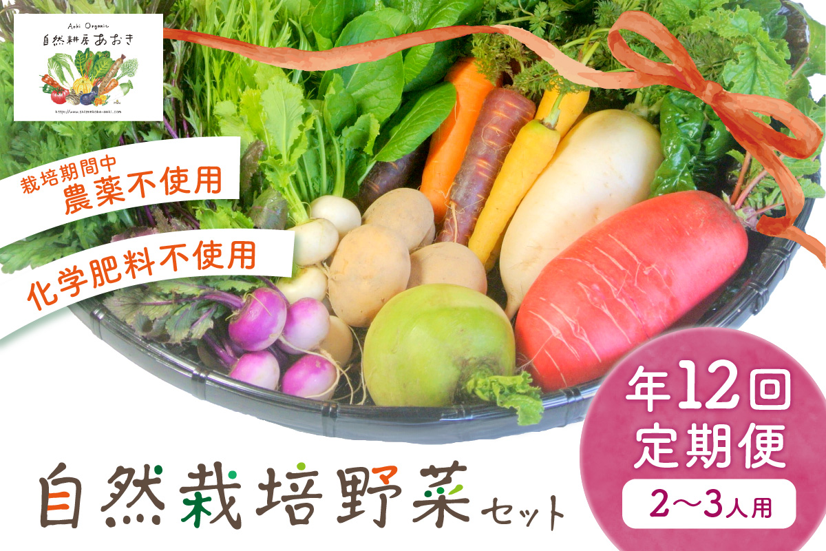 自然栽培野菜セット（年12回）2~3人用　定期便　月1回×12ヵ月　AB00003