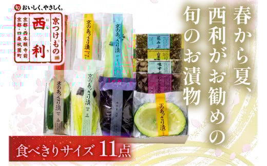 春から夏、西利がお勧めの旬のお漬物　11点セット　NS00041