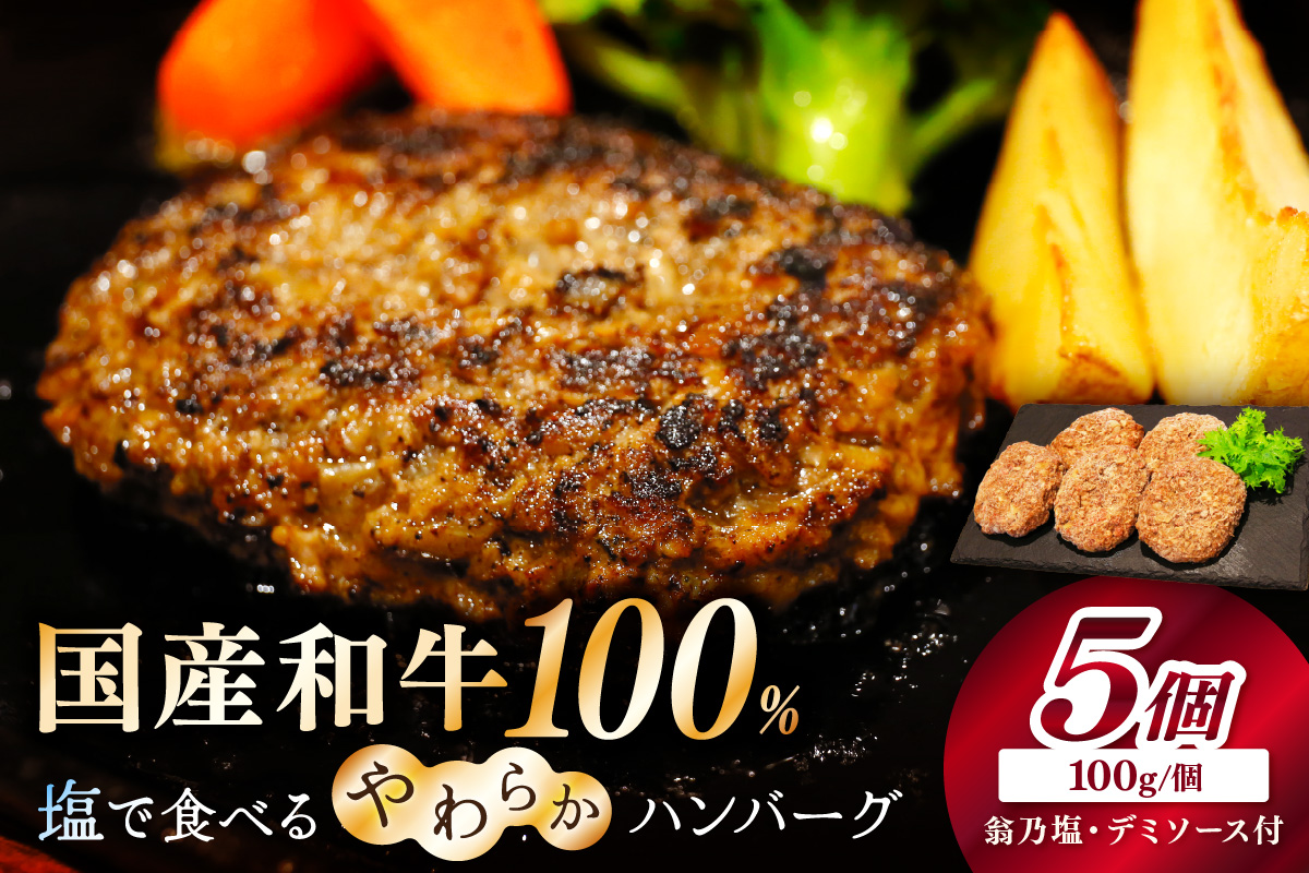 塩で食べるやわらかハンバーグ（デミグラスソース付）　国産 牛肉 はんばーぐ　NH00040