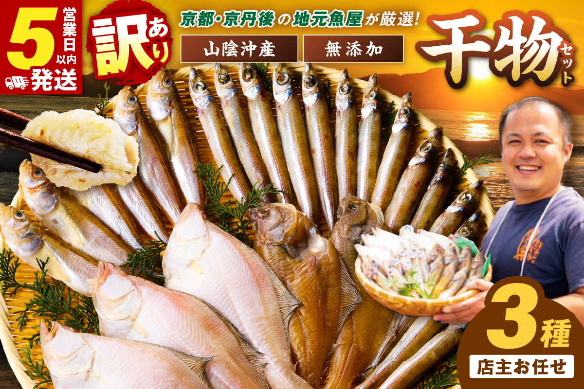 【最短2～5営業日以内に発送】京丹後の地元魚屋が作ったお任せ干物セット（冷凍）　TB00045SH