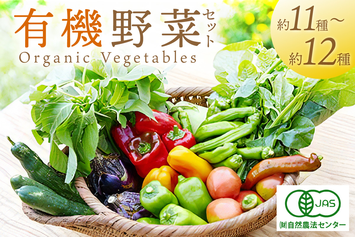 ＜てんとうむしばたけ＞オーガニック野菜セット　有機野菜11～12種(4人用)　BR00050