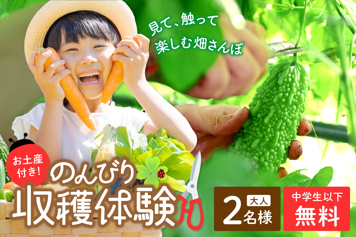 オーガニックファームでのんびり過ごそう！収穫体験&お土産付き(2名様分)　BR00017