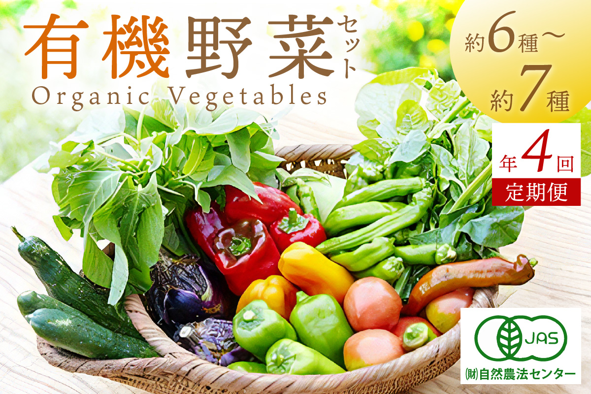 【年4回定期便】＜てんとうむしばたけ＞オーガニック野菜セット　有機野菜6～7種(2人用)　BR00059