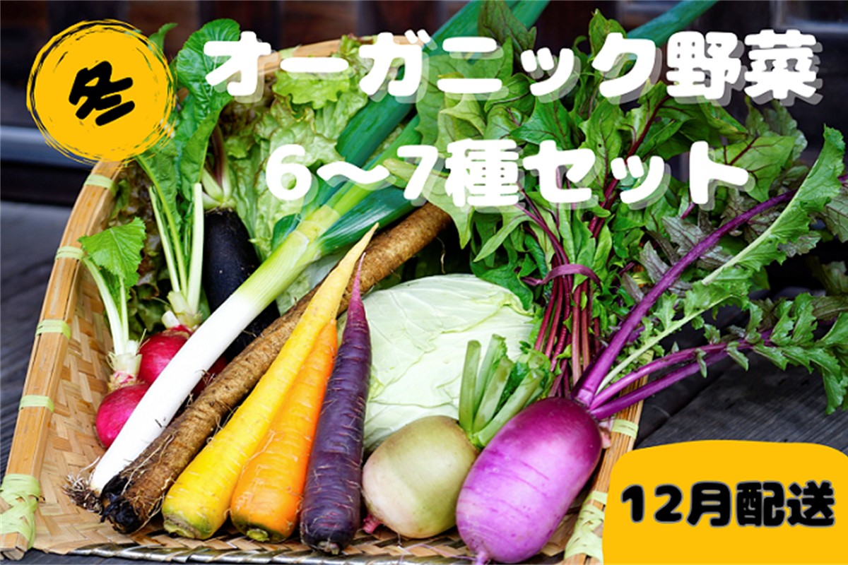 【先行予約：12月配送】＜てんとうむしばたけ＞冬のオーガニック野菜セット　有機野菜6～7種前後　	BR00057_12