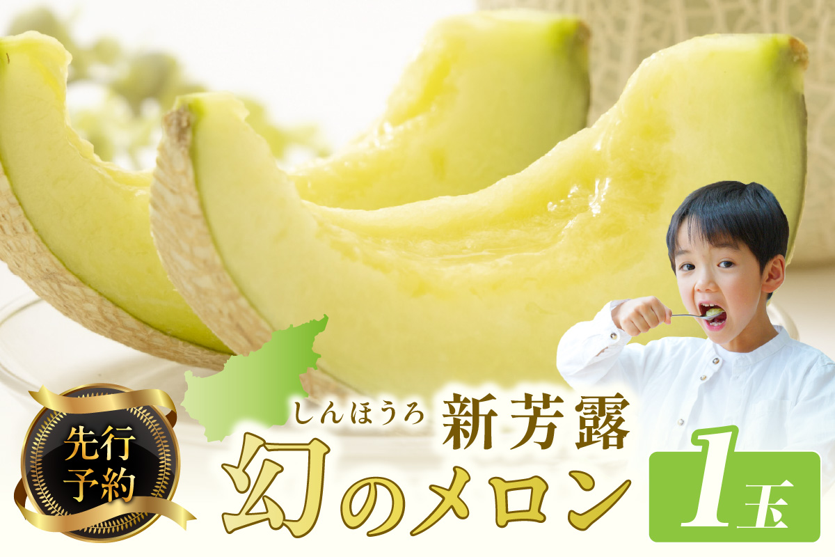 【先行予約】幻のメロン 新芳露 1玉（2026年7月下旬～発送）　BF00003