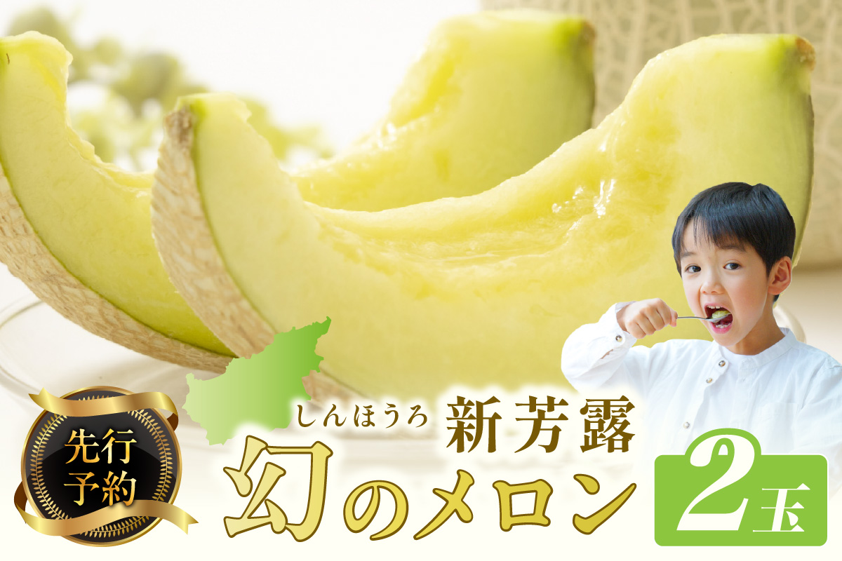 【先行予約】幻のメロン 新芳露 2玉（2026年7月下旬～発送）　BF00004
