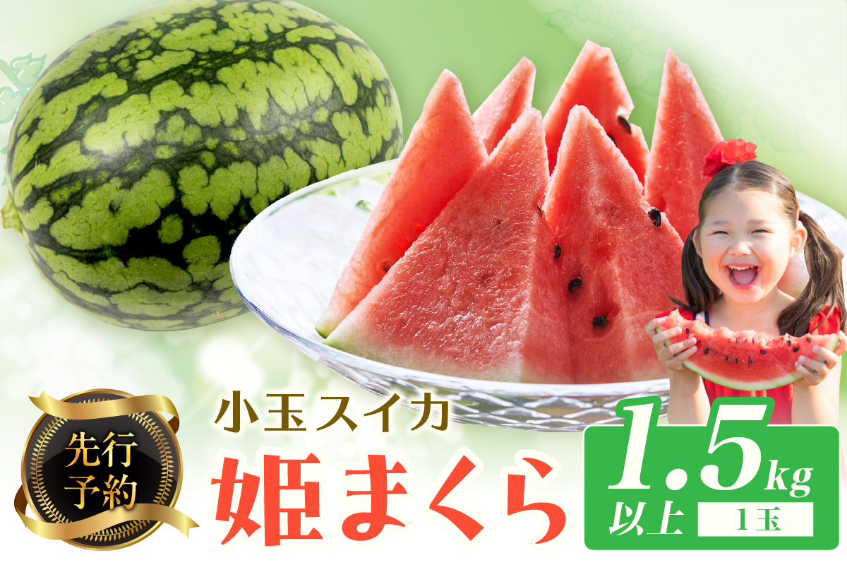 【先行予約】小玉スイカ 姫まくら 1玉（1.5kg以上）（2026年7月上旬～発送）　BF00007