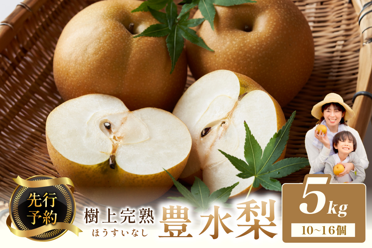【先行予約】樹上完熟 豊水梨 5kg（10～16個）（2026年8月下旬～発送）　BF00010