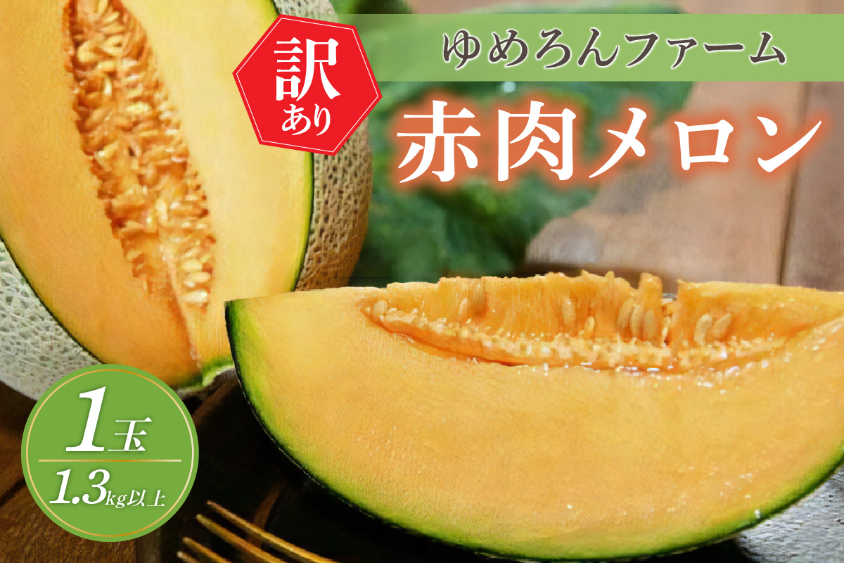 【先行予約／数量限定100】ゆめろんファームの赤肉メロン（訳あり品）（2026年6月上旬～発送）　DE00155