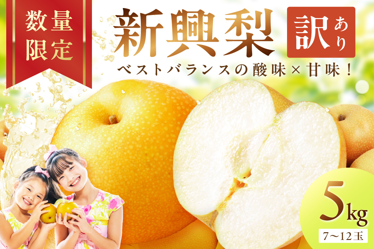 【先行予約／数量限定700】新興梨（訳あり） 5kg （7～12玉）（2026年9月下旬～発送）　DE00159