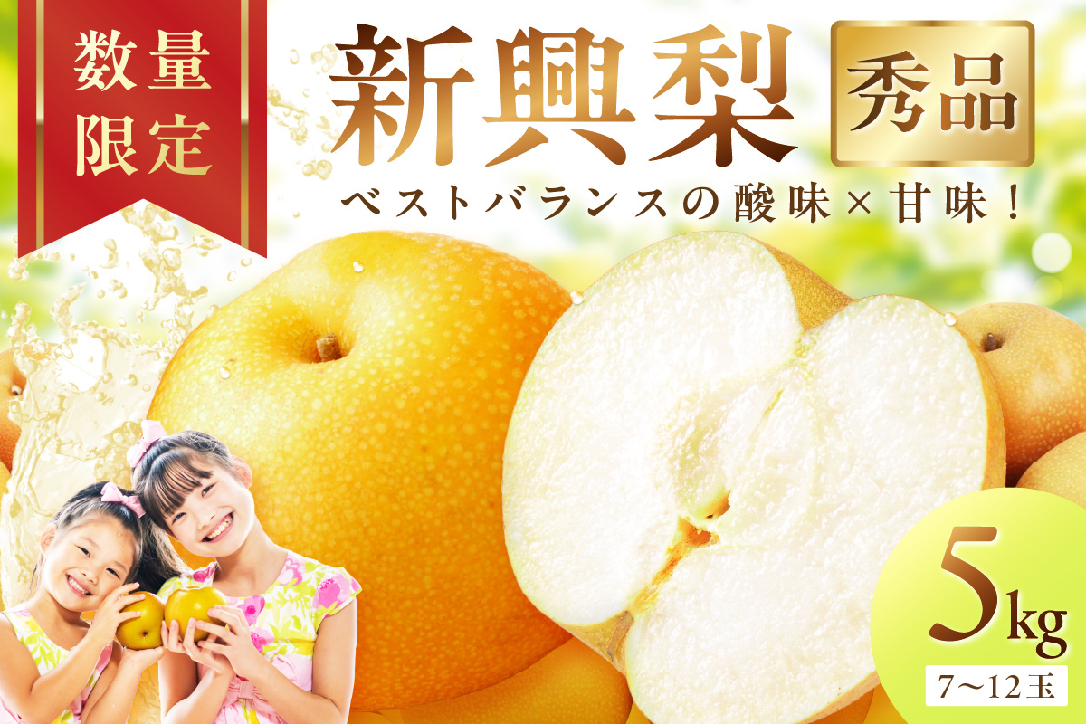 【先行予約／数量限定500】新興梨（秀品） 5kg（7～12玉）（2026年9月下旬～発送）　DE00164