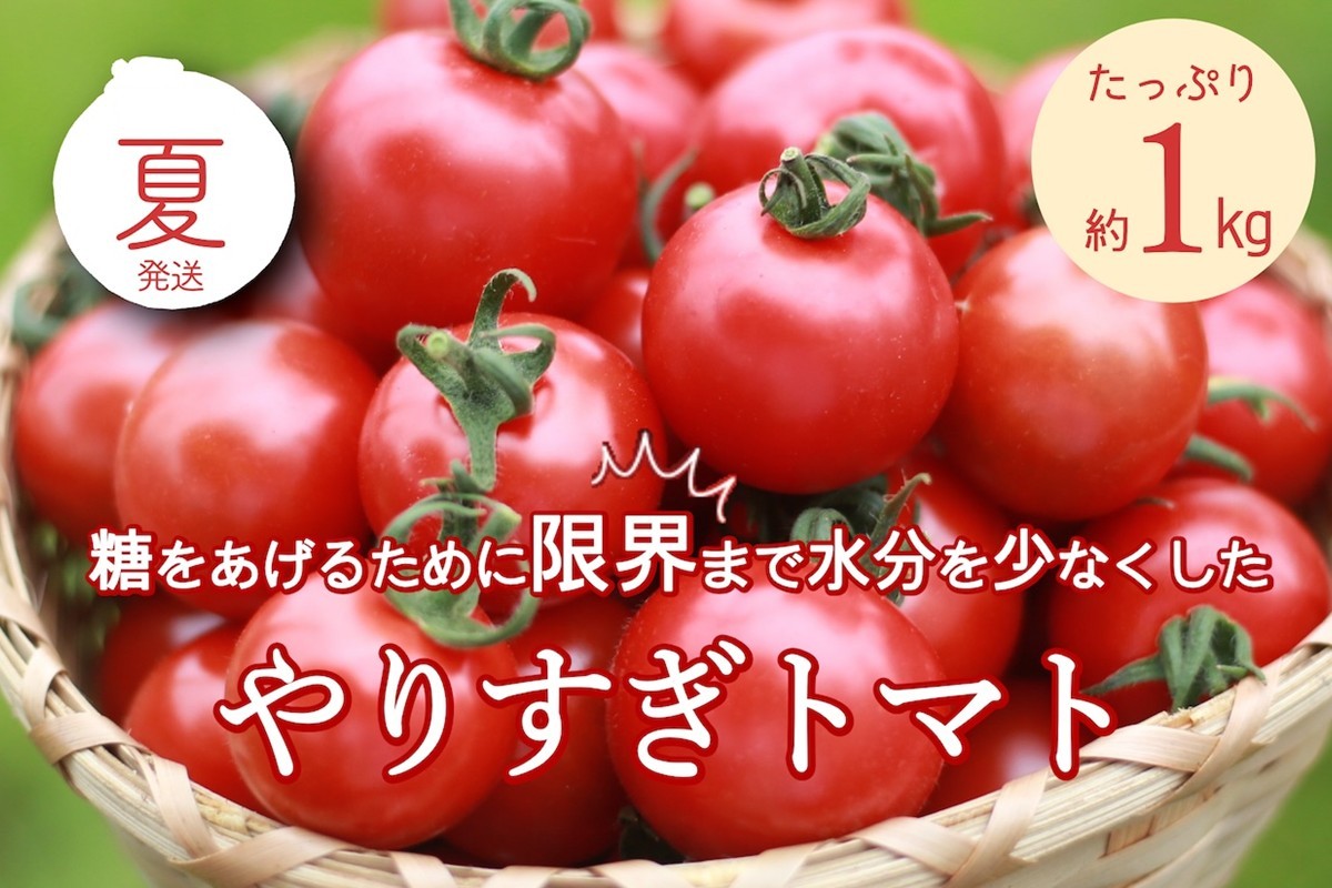 【先行予約】やりすぎトマト（4パック計約1kg）（夏季）（2026年6月上旬以降発送）　DE00160