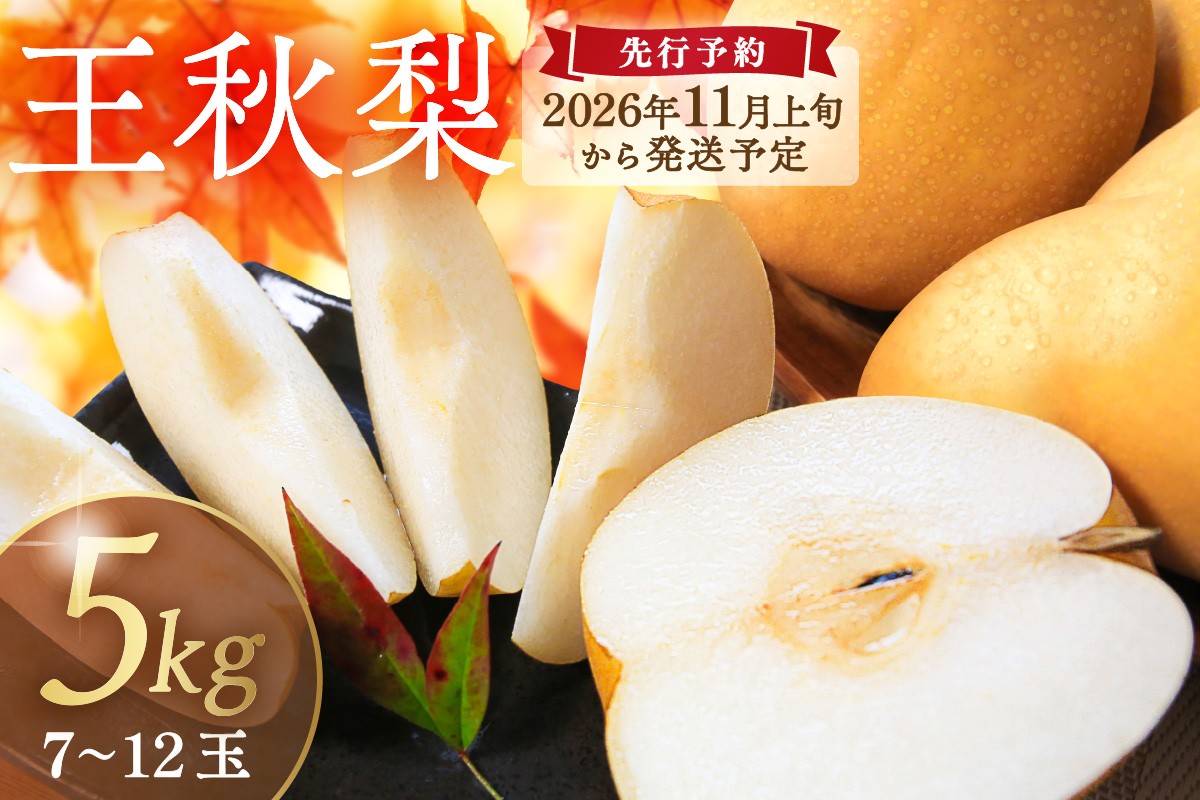 【先行予約／数量限定200】農家直送 秋の王様 「王秋」5kg（概ね7玉～12玉）（2026年11月上旬～発送）　DE00169