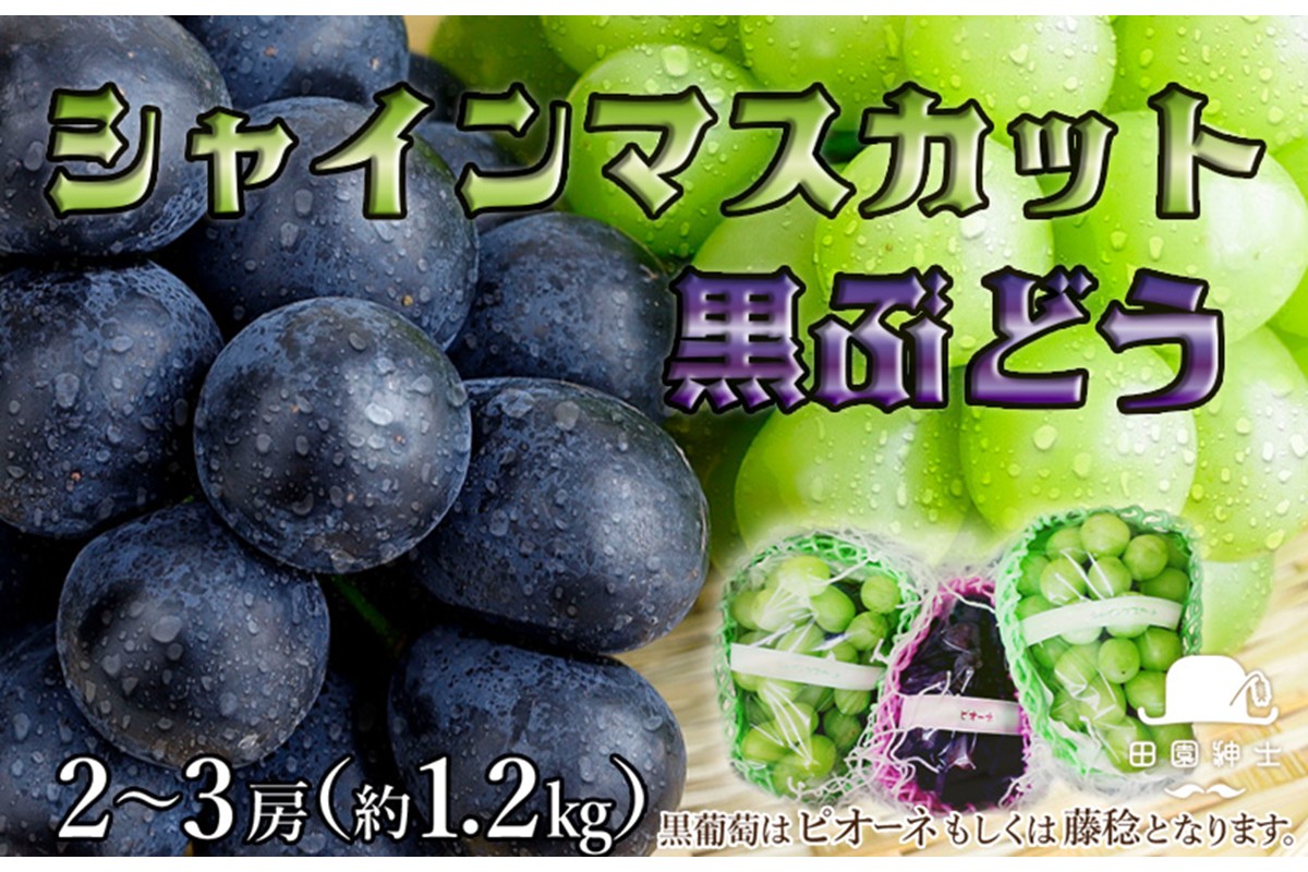 田園紳士厳選 シャインマスカット・黒葡萄セット　DE00143