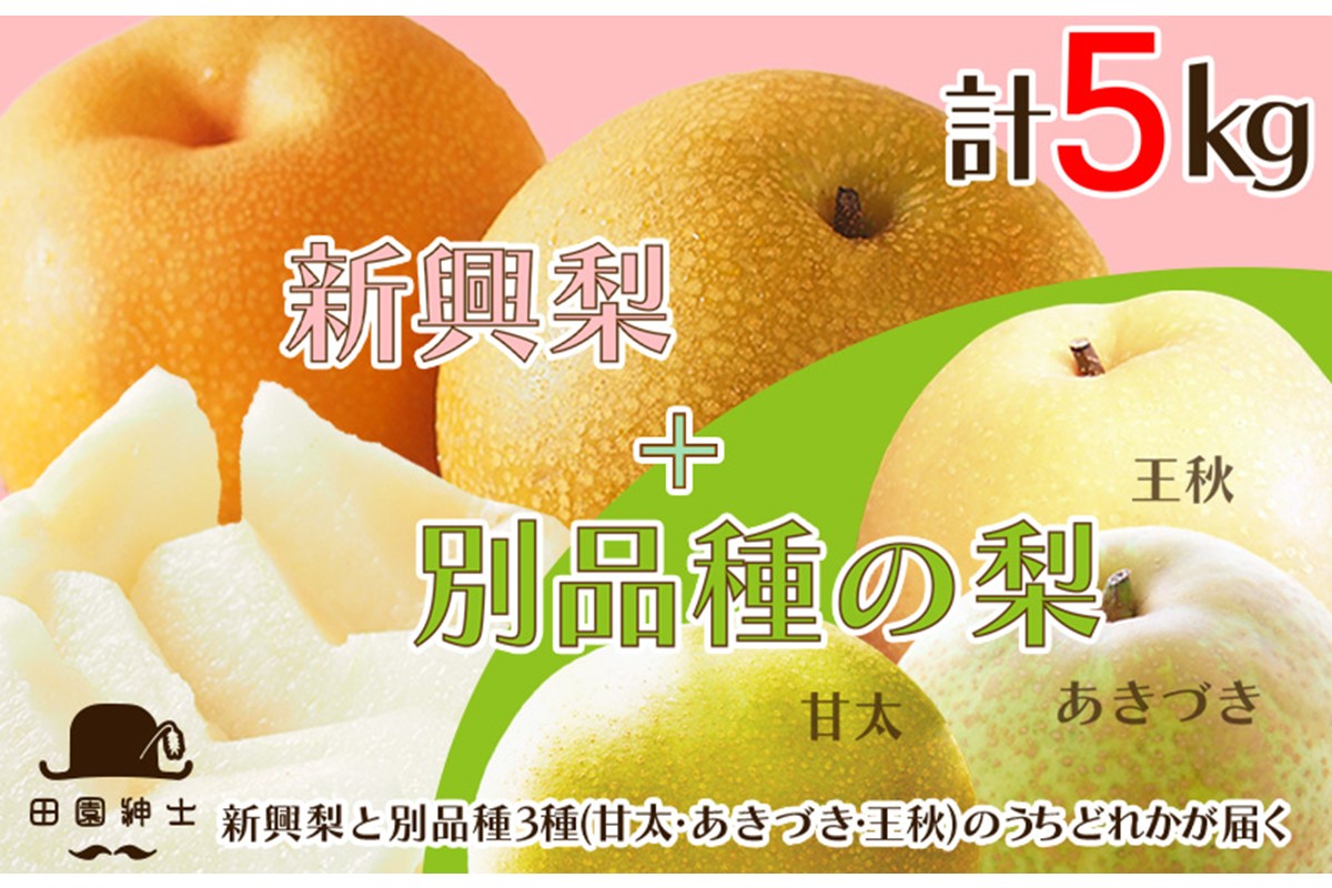 田園紳士厳選「梨好きさんのための梨セット」新興梨ともう1品種の計2品種セット　DE00145
