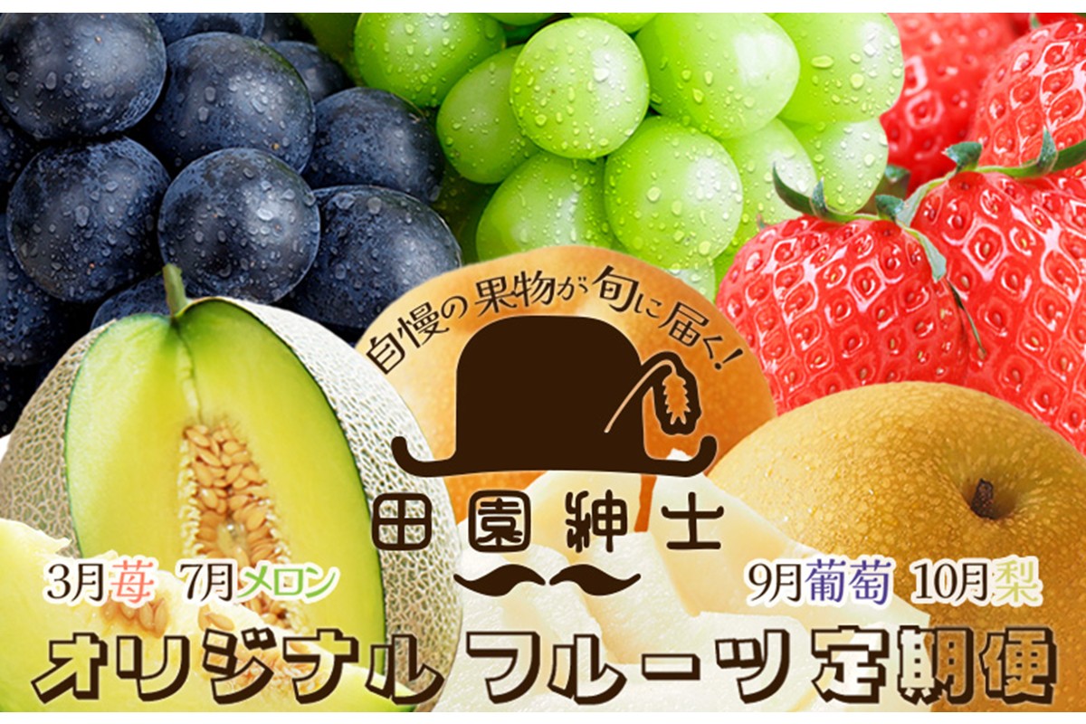 田園紳士厳選　オリジナルフルーツ定期便4回【イチゴ、メロン、黒葡萄、シャインマスカット、梨】　DE00146