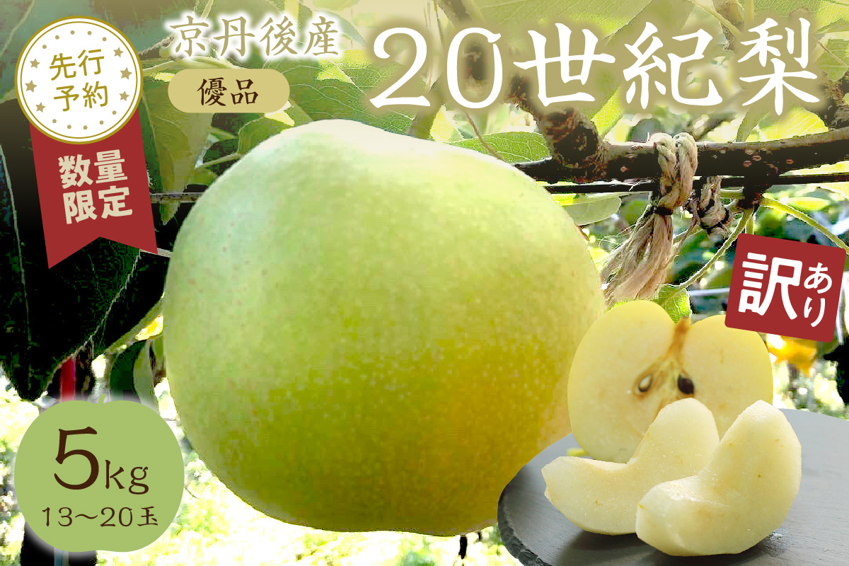 【先行予約／数量限定100】【訳あり】20世紀梨 優品 5kg（13～20玉入り）（2026年9月上旬～発送）　SF00039