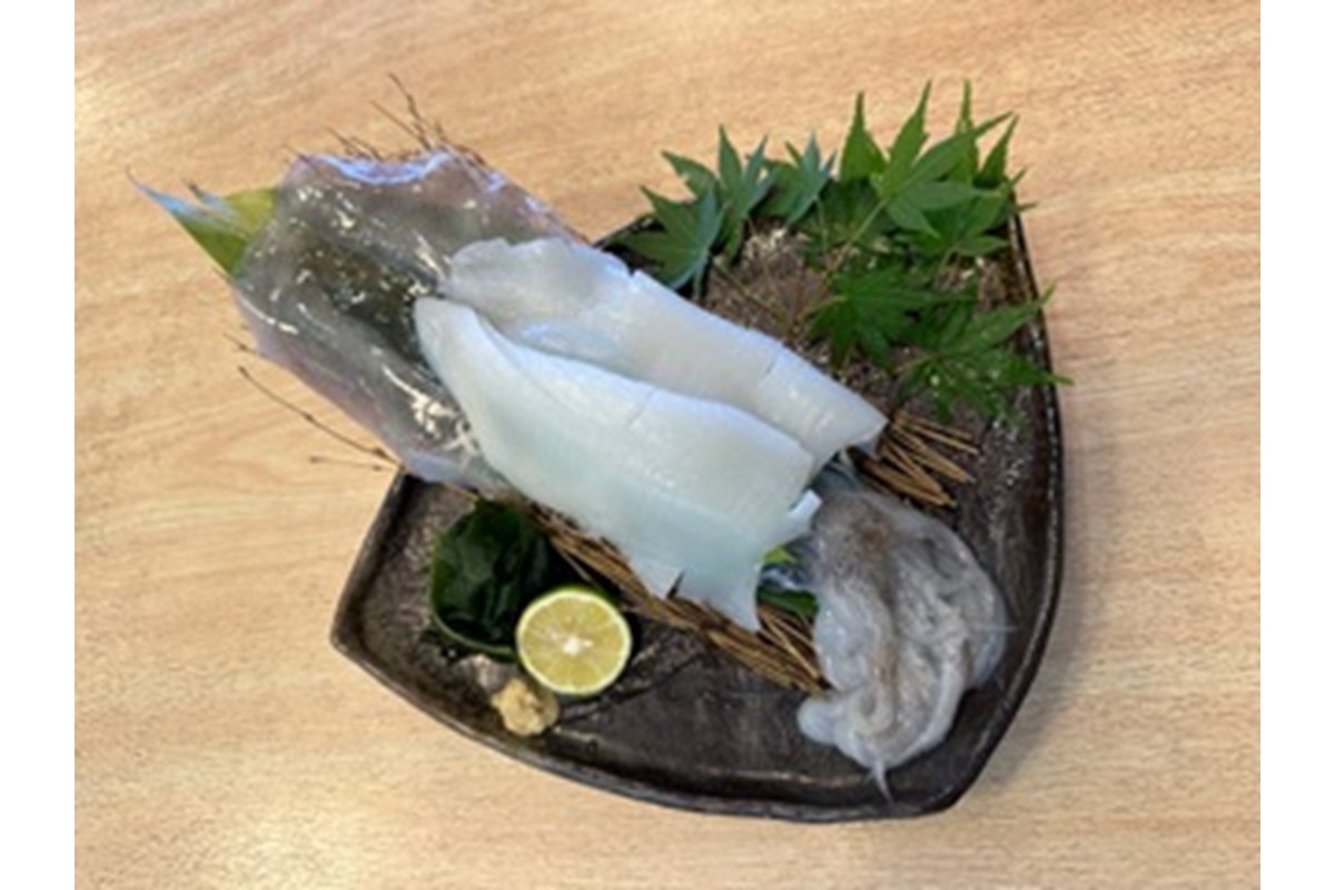 京都・久美浜産 アオリイカの姿造り　EK00012