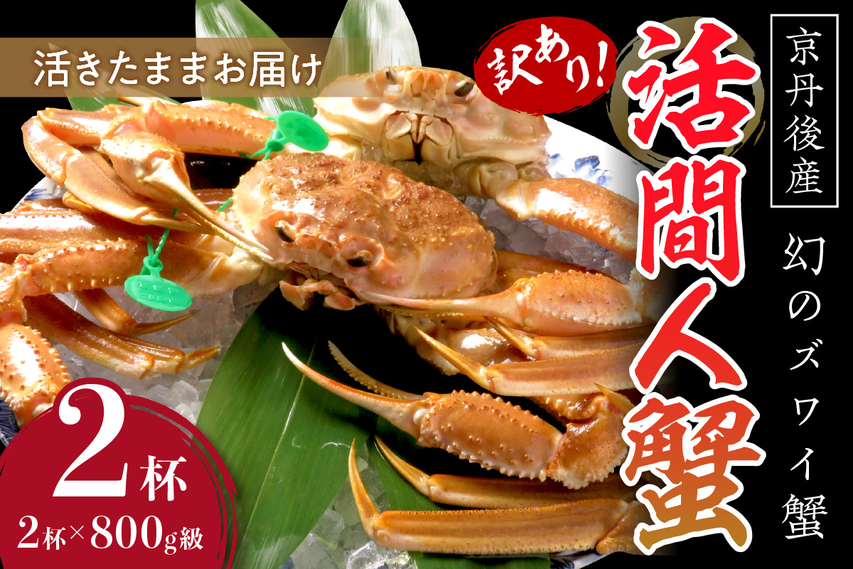 【訳あり！！幻のズワイ蟹】　京丹後産　活間人蟹　鮮度抜群、活きたままお届け！！ 800g級（足1本落ち）×2杯　YK00069