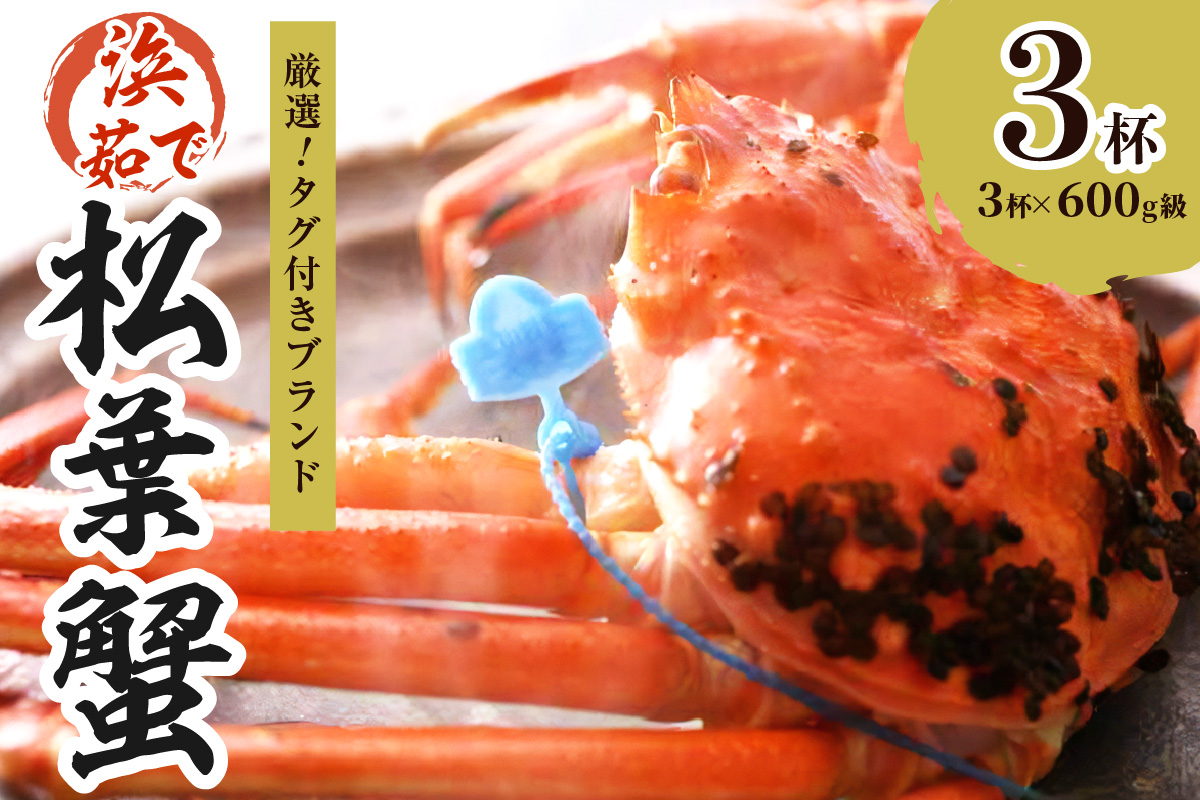 【厳選！！タグ付きブランド】　茹で松葉かに（中）　鮮度抜群、浜茹でにてお届け！！ 600g級×3杯　YK00438
