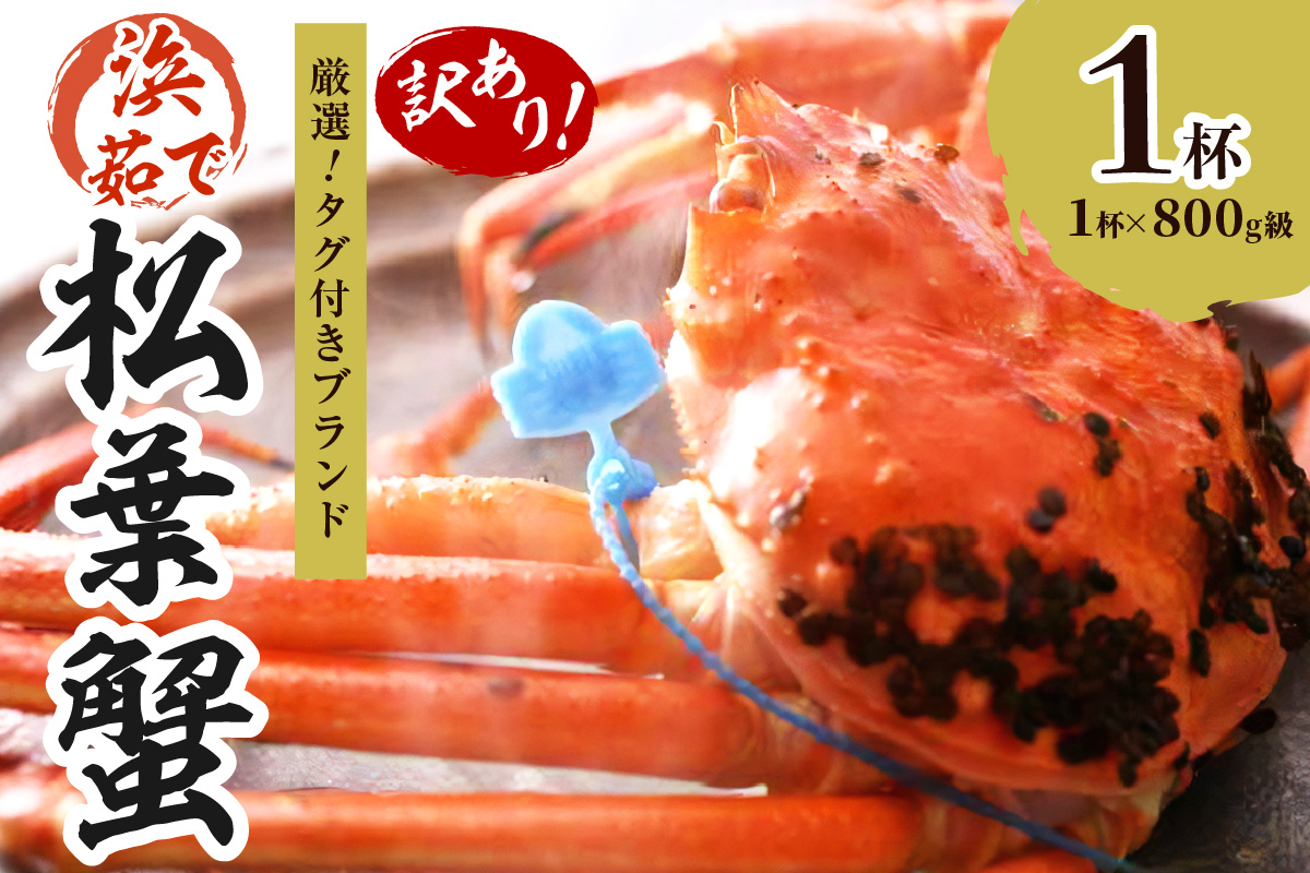 【訳あり！！タグ付きブランド】　茹で松葉かに　鮮度抜群、浜茹でにてお届け！！ 800g級（足1本落ち）×1杯　YK00433