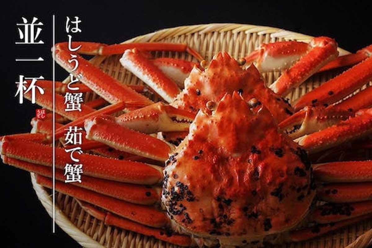 【創業明治元年　間人 炭平旅館の味】はしうど蟹　800g級　茹で蟹　並1杯【2026年発送】　SU00021