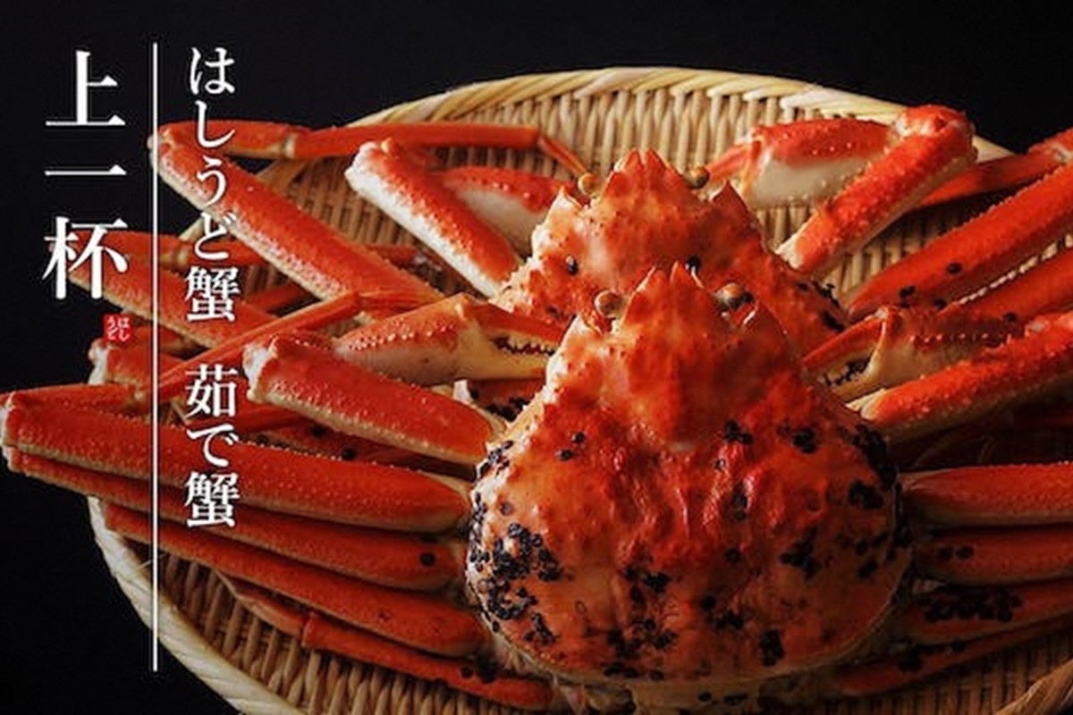 【創業明治元年　間人 炭平旅館の味】はしうど蟹　1000g級　茹で蟹　上1杯　【2026年発送】　SU00023
