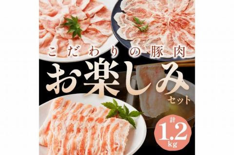 京都産こだわりの豚肉　お楽しみセット　1.2kg（ロースまたは肩ローススライス300g×2パック、バラスライス300g×2パック）　TN00013
