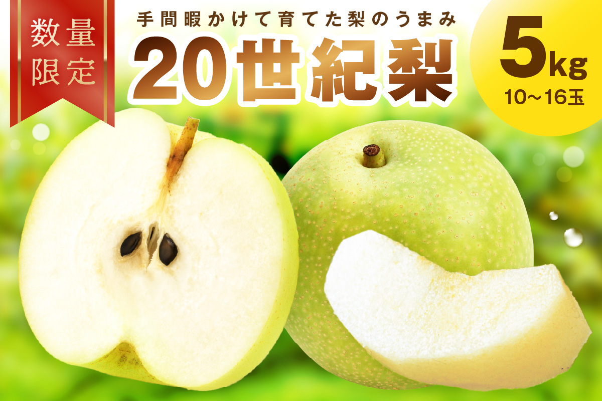 【先行予約／数量限定100】廿世紀梨　5kg（2026年9月上旬～発送）　FK00014