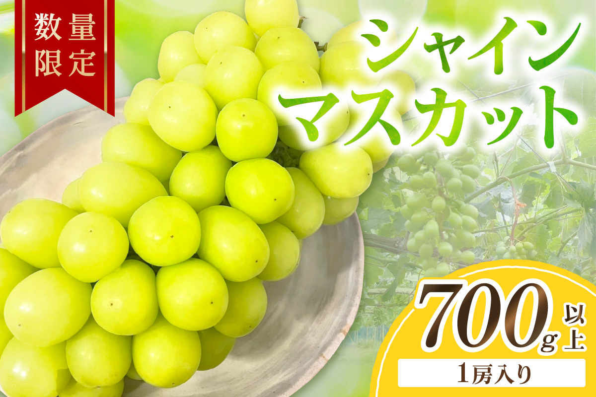 【先行予約／数量限定50】シャインマスカット 700g以上（1房入り）（2026年9月上旬～発送）　FK00016