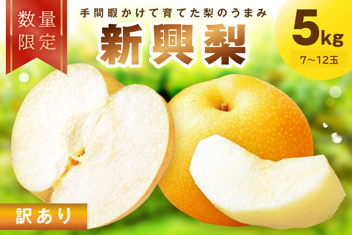 【先行予約／数量限定100】訳あり 新興梨　5kg（2026年10月中旬～発送）　FK00025