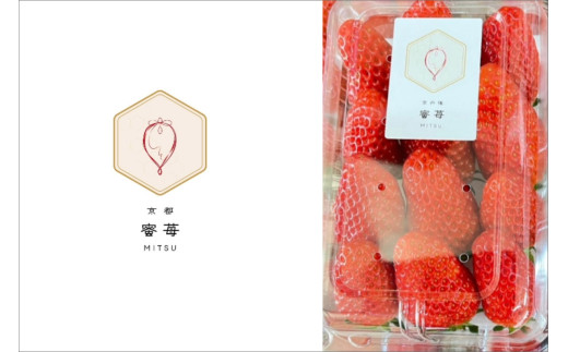 【先行予約】2026年産 京都 蜜いちご（あきひめ）（大サイズ（12粒）×1箱）約600g（2026年1月上旬～発送）　FM00012