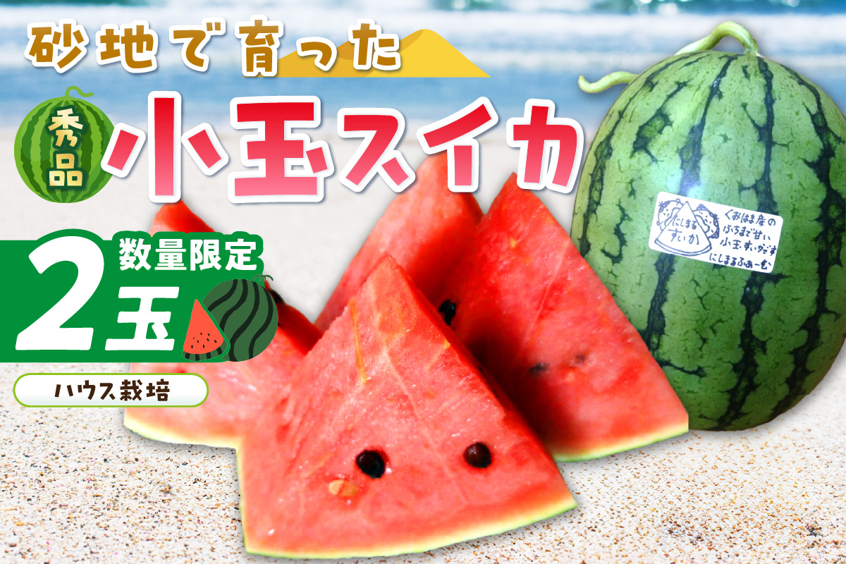 【先行予約／数量限定100】にしまるスイカ 秀品 2玉入り（ハウス栽培）（2026年6月中旬から発送）　FR00009