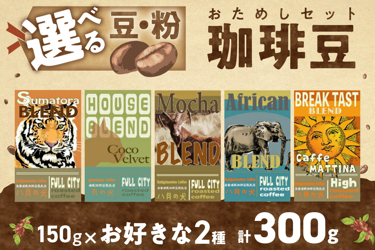 5種類から２つ選べる　 自家焙煎コーヒー豆　お試しセット　300ｇ（約30杯分）挽き方が選べる　八月の犬　HA00020