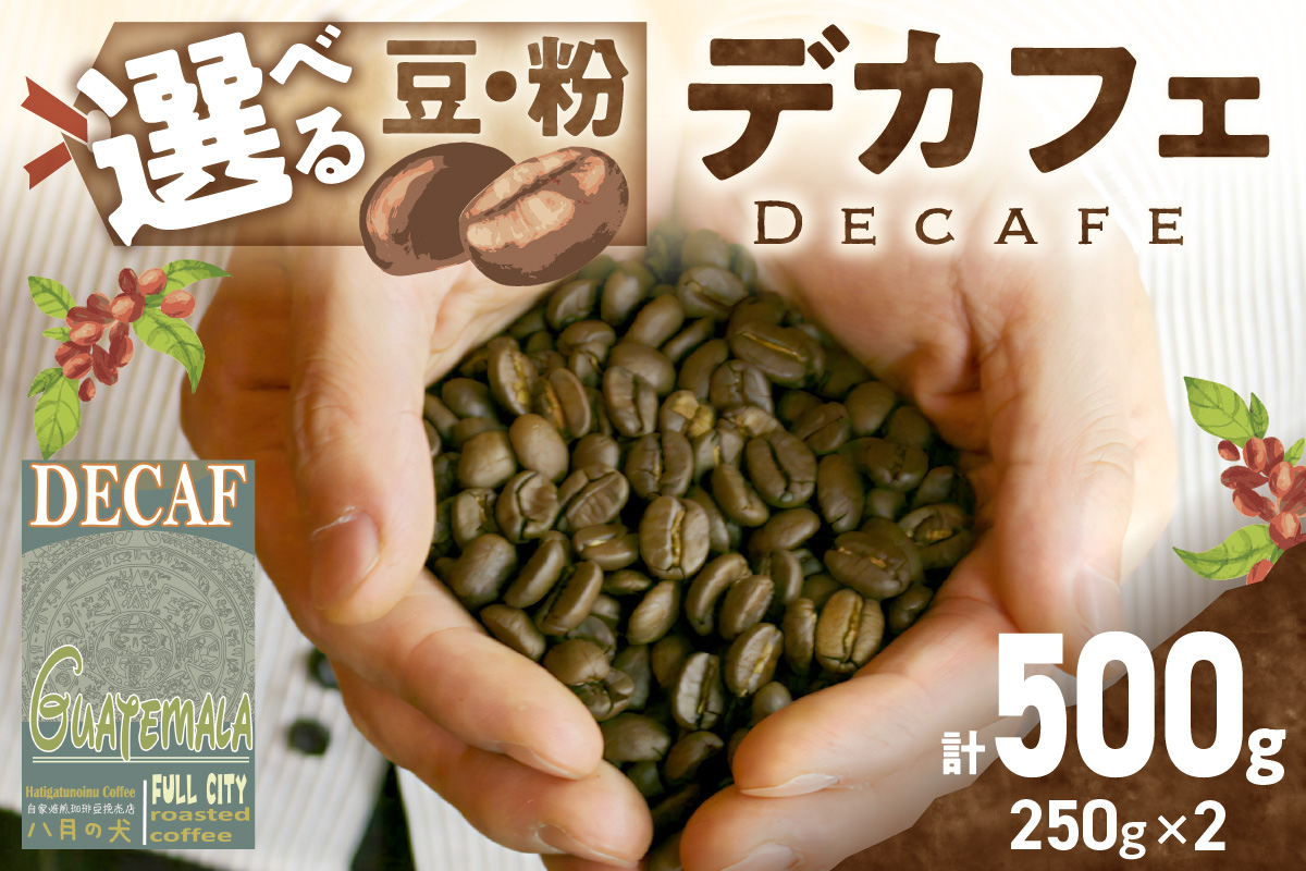 【デカフェ】自家焙煎　グアテマラ カフェインレスコーヒー豆 500g（250g×2）八月の犬　珈琲豆　ドリップ　マタニティー 飲料 珈琲 こーひー コーヒー coffee　HA00022