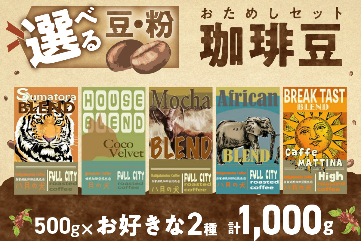 5種類から２つ選べる　 自家焙煎コーヒー豆　飲み比べセット　1000ｇ（500gx2種/約100杯分）挽き方が選べる　八月の犬　HA00023