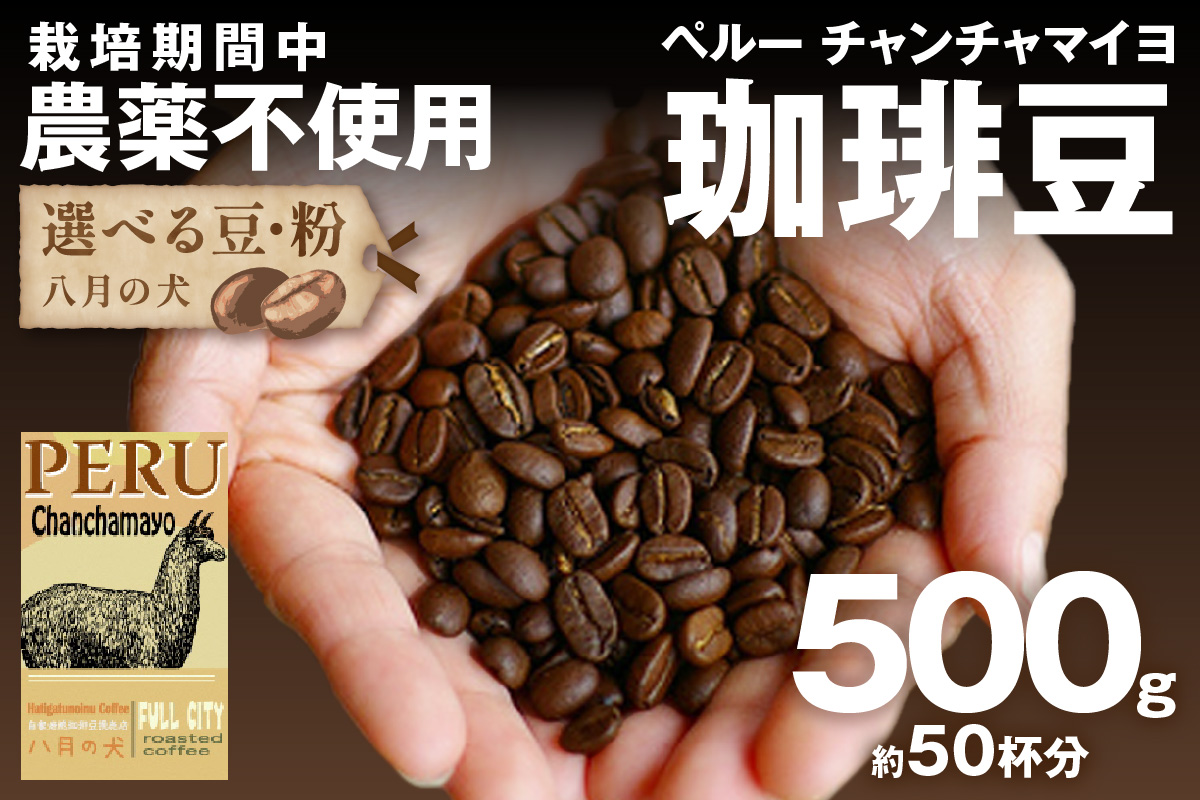 【栽培期間中農薬不使用】自家焙煎コーヒー豆 ペルー チャンチャマイヨ 500g（250g×2）　約50杯分　小分け　豆・粉 選べる　HA00024